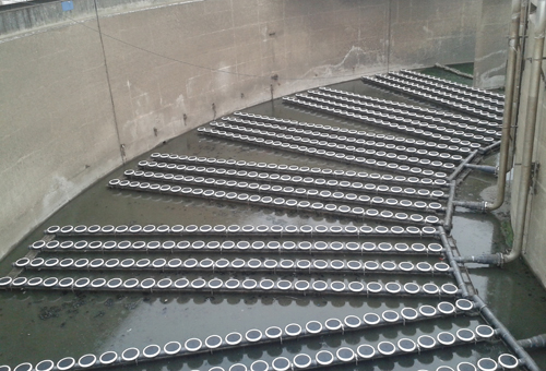 1552962449877597.png 1552962449877597.png