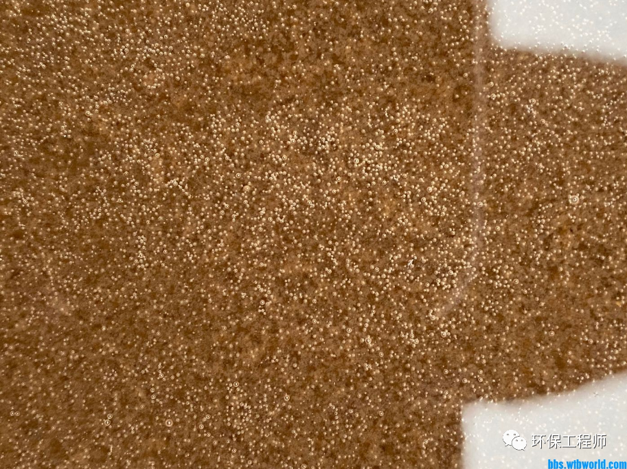 1665361703849976.png