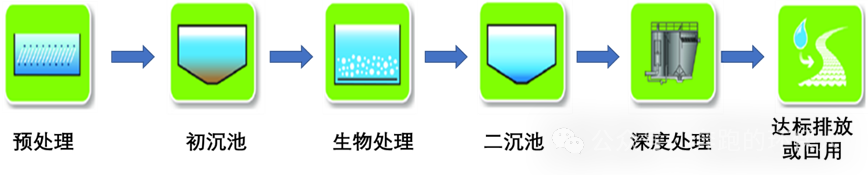 1731905499144351.png
